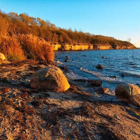 Daenische Ferienhaeuser Am Salzhaff Haus Pacific Insel Poel Exterior foto