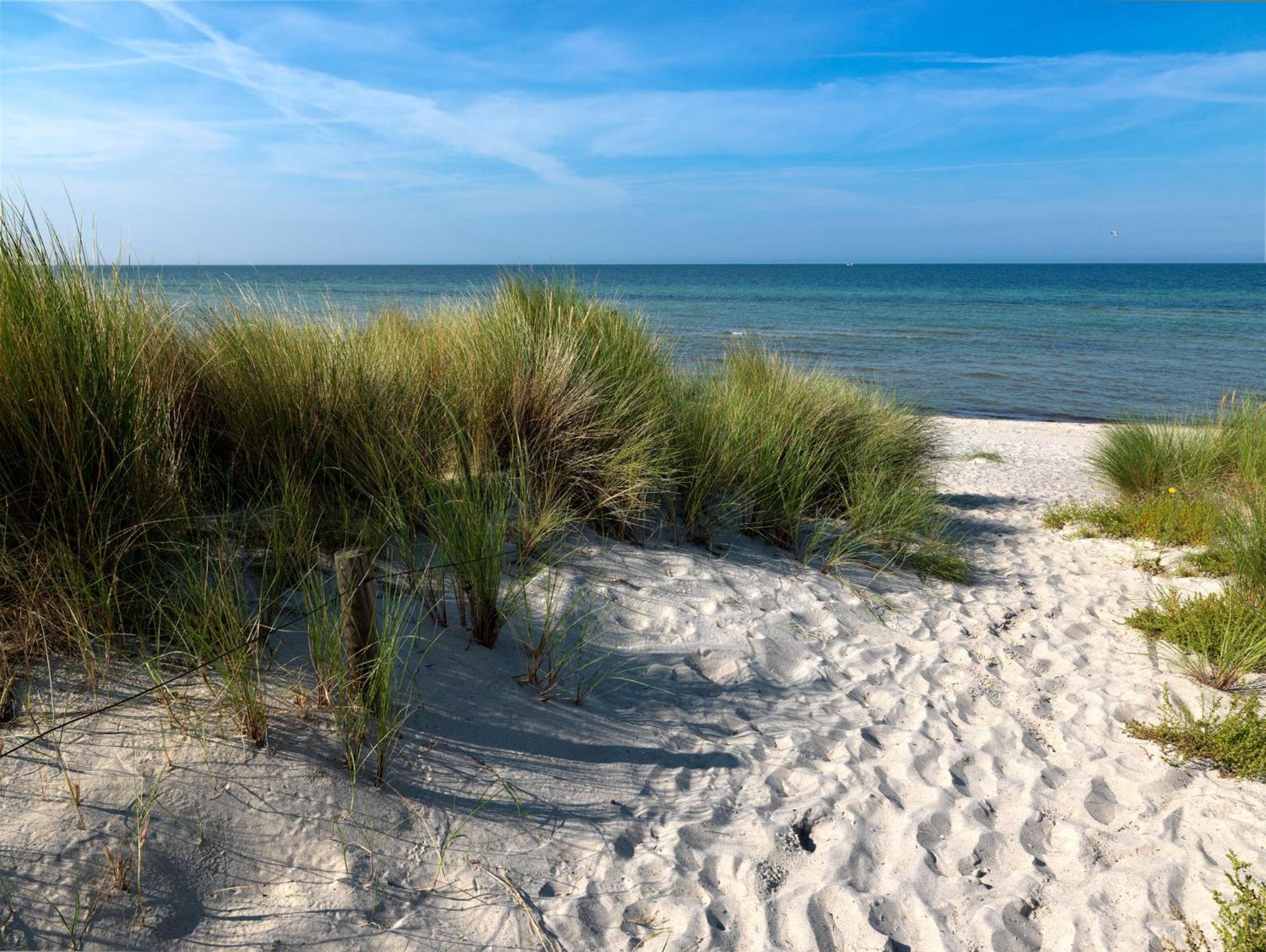 Daenische Ferienhaeuser Am Salzhaff Haus Pacific Insel Poel Exterior foto